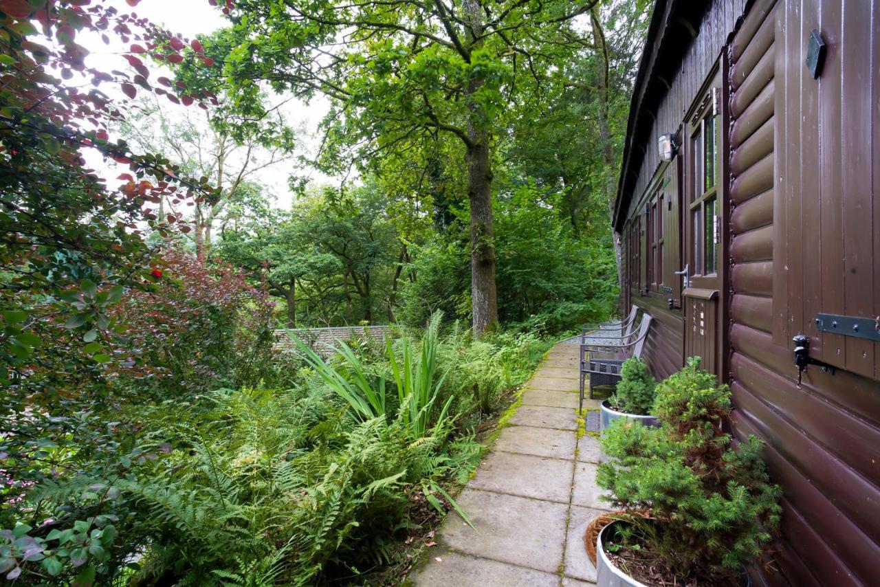 Low Tarn Lodge Elterwater Bagian luar foto